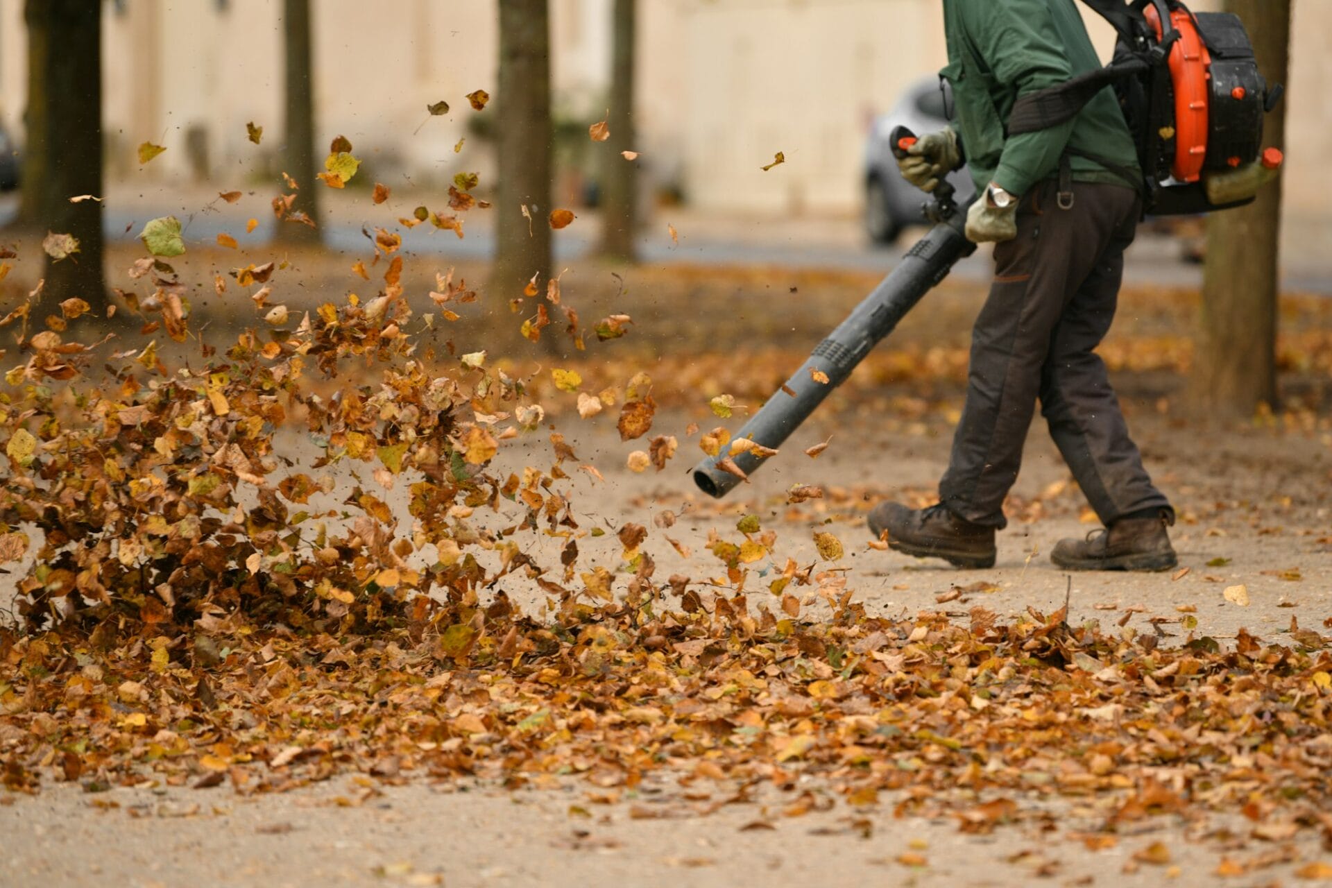 A man cleaning the park with a leaf blower