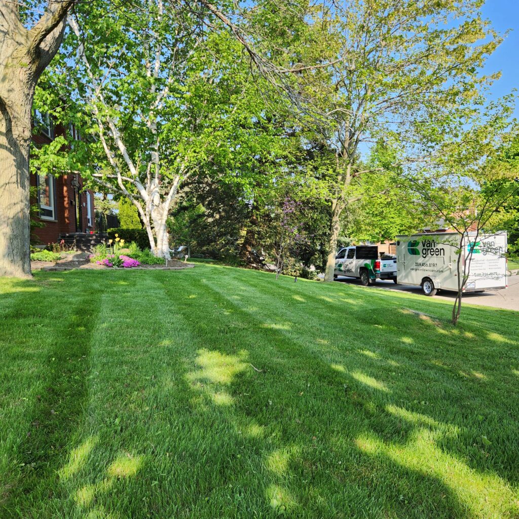 manicured lawn freshly mowed. lush green grass. green trees. lawn care truck and trailer in the distance. beautiful lawn stripes.